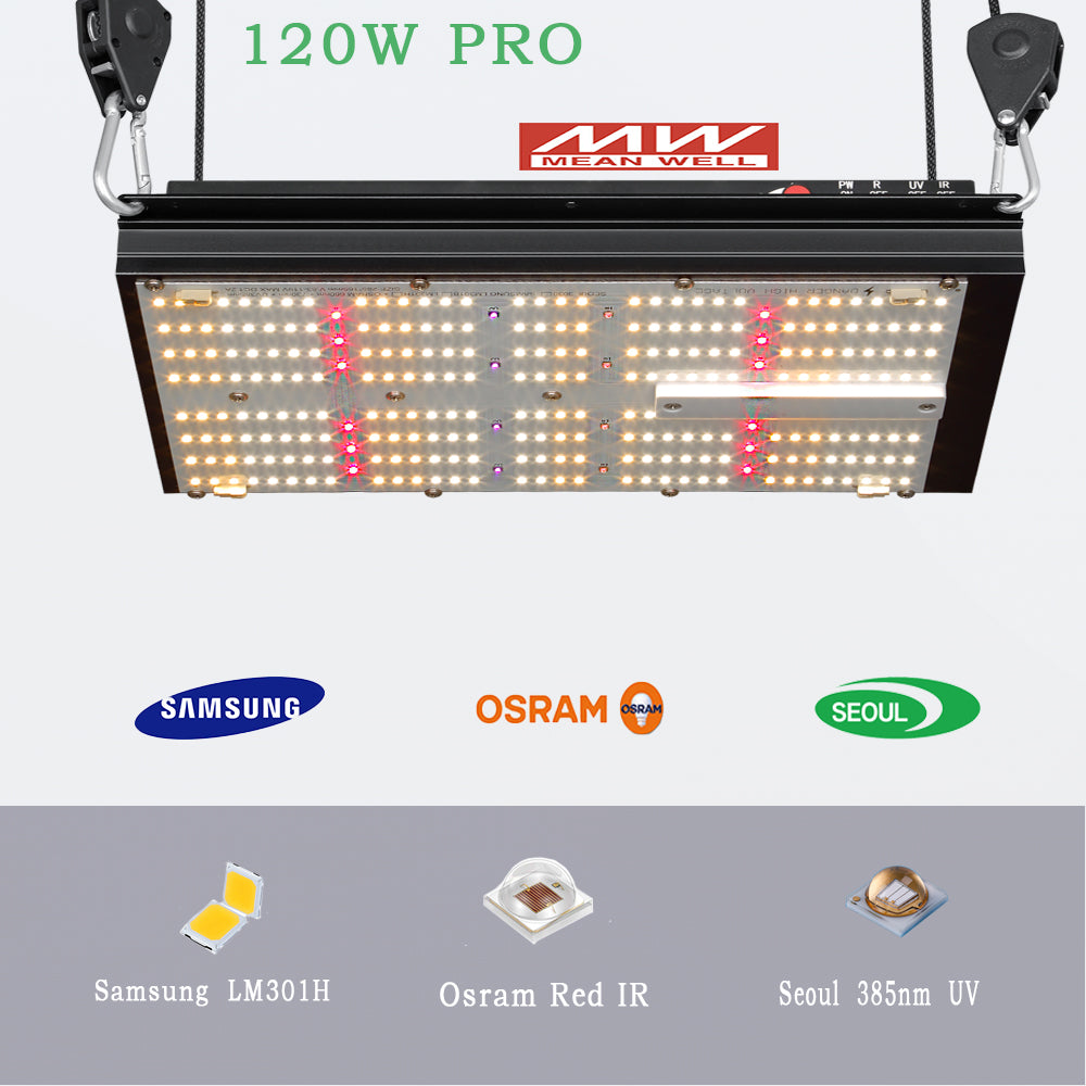 IGrow Kindly Grow Stan: 80x80x160cm | 120W LED | 4-6 Pflanzen