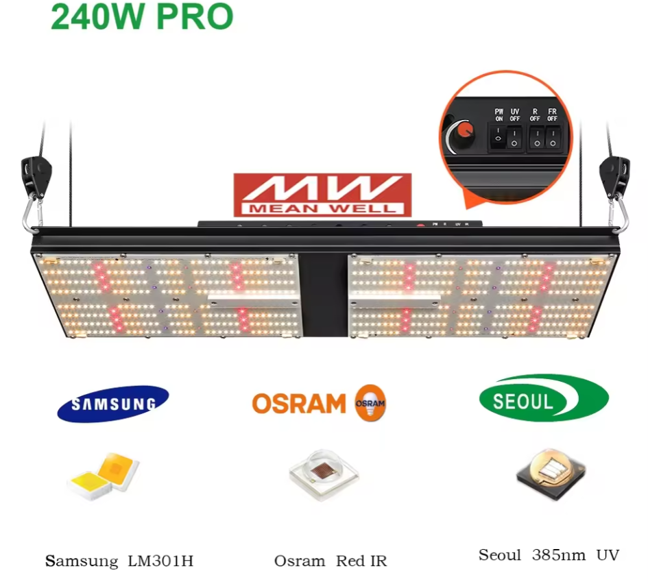 IGrow Lazy Grow Pete: 80x80x180cm | 240W | 3-6 Pflanzen