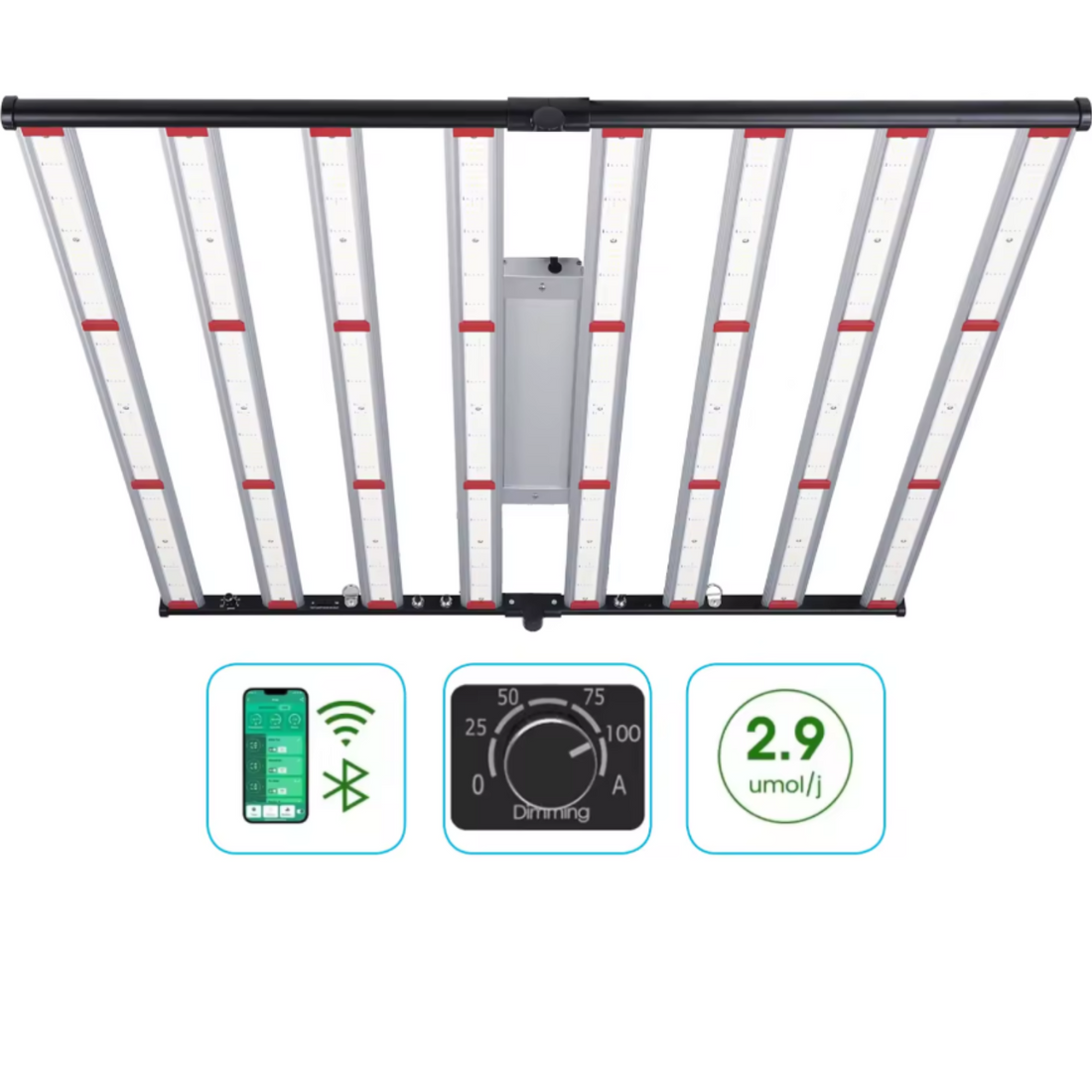 CannaCubes Superb Grow Angelika: 240x240x200cm | 4x 800W LED | 16-25 Pflanzen