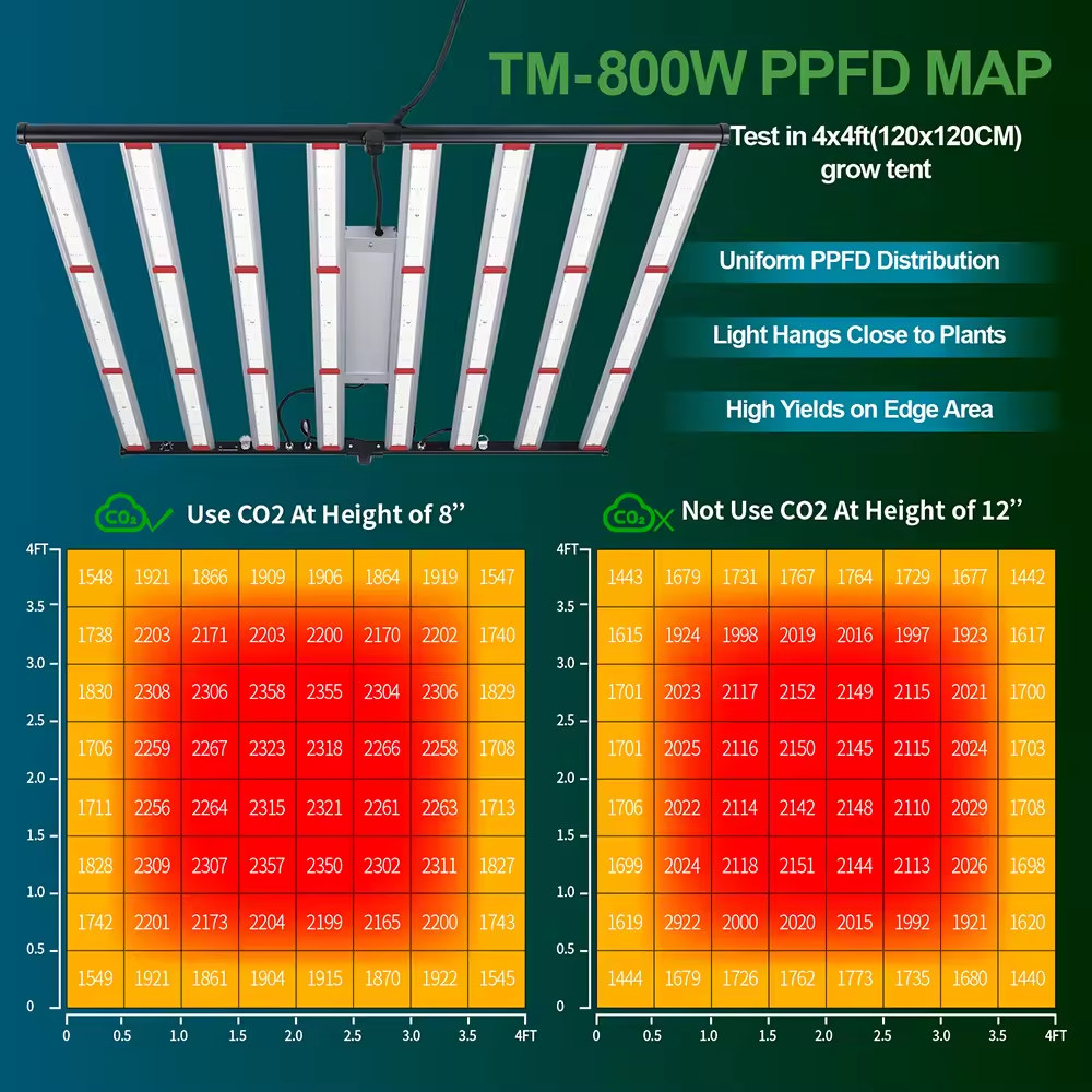 CannaCubes Busy Grow Linda: 150x150x200cm | 800W LED | 5-9 Pflanzen