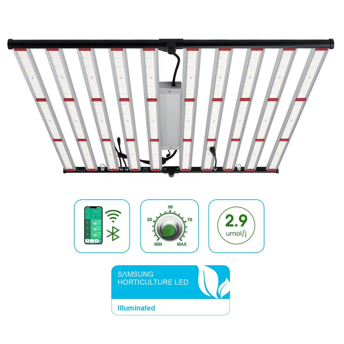 CannaCubes Amazing Grow Molly: 200x200x200cm | 1000W LED | 10-20 Pflanzen